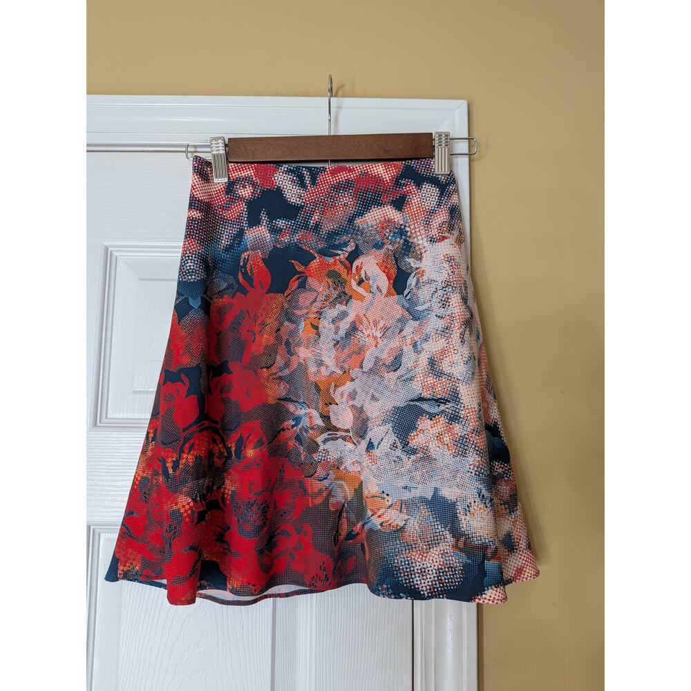 Robert Graham Floral Abstract A-Line Skirt Size 2 Multicolor Red Blue Artsy